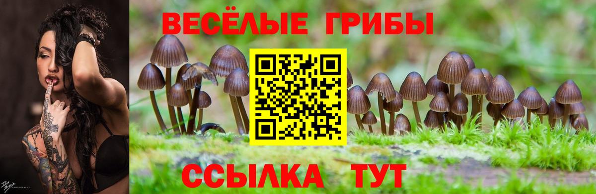 Галлюциногенные грибы Magic Shrooms Зима