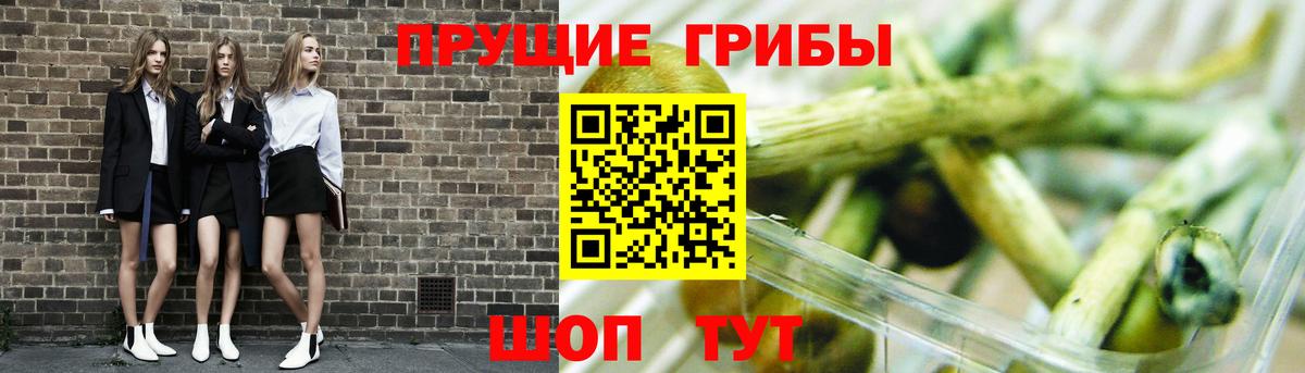 Галлюциногенные грибы GOLDEN TEACHER  Псилоцибиновые грибы MAGIC MUSHROOMS  Вход с VPN  Зима 